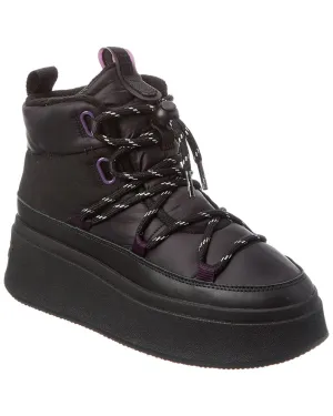 Ash Montana Suede Platform Bootie