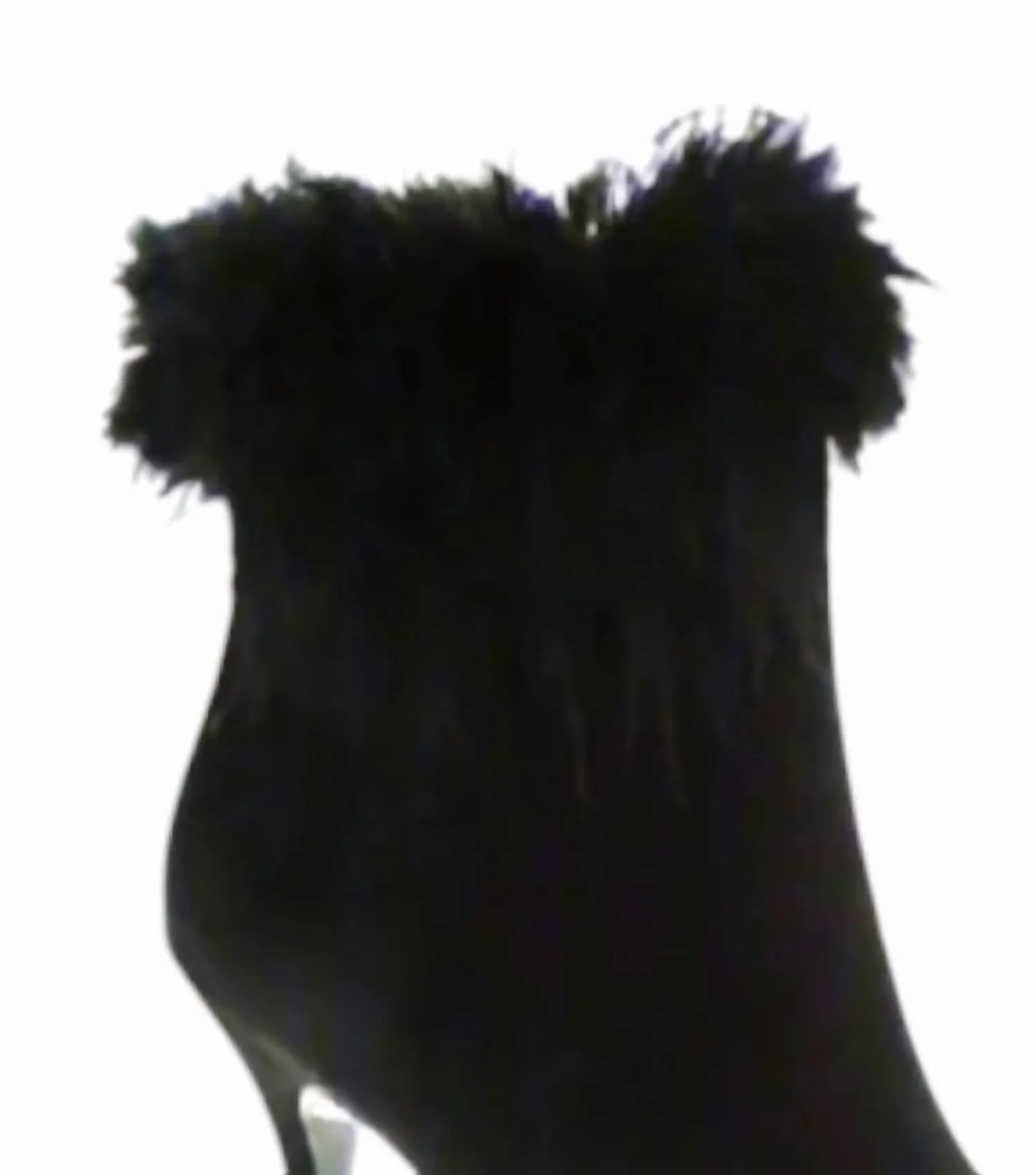 Women's Delilah Fur Ankle Boots In Black