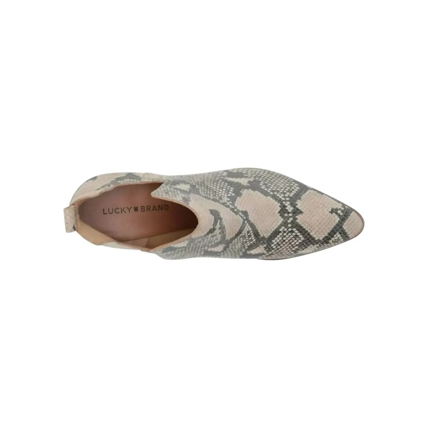 Women's Jabilo Snake Ankle Boots In Natural Jame Snake