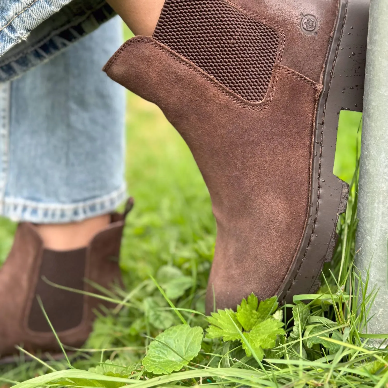 Women's Verona Boot In Dark Brown Suede