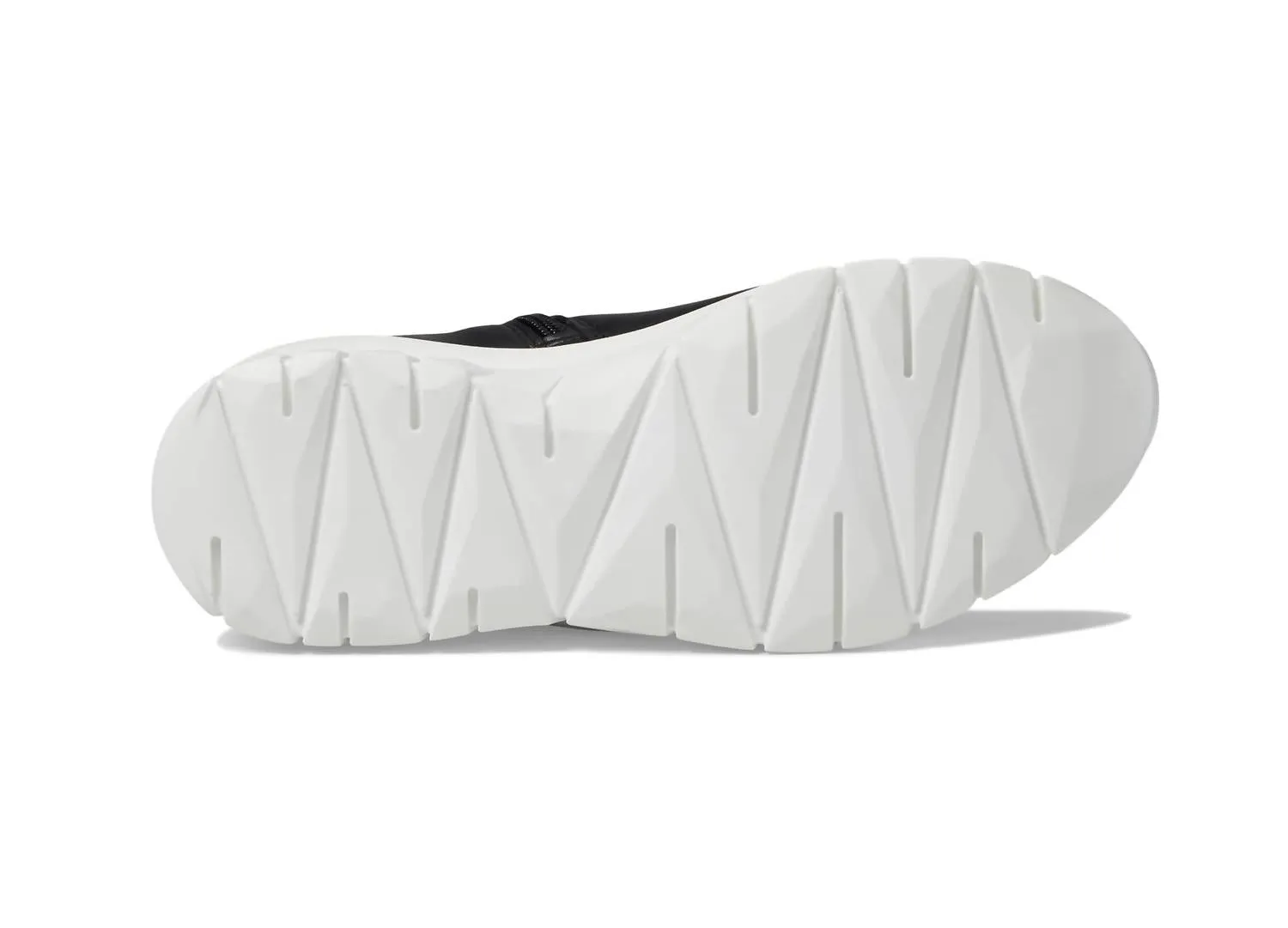 Women's Zodiac Leather Shoes In Black Jet